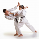 Makna Sumpah Karate Di Indonesia