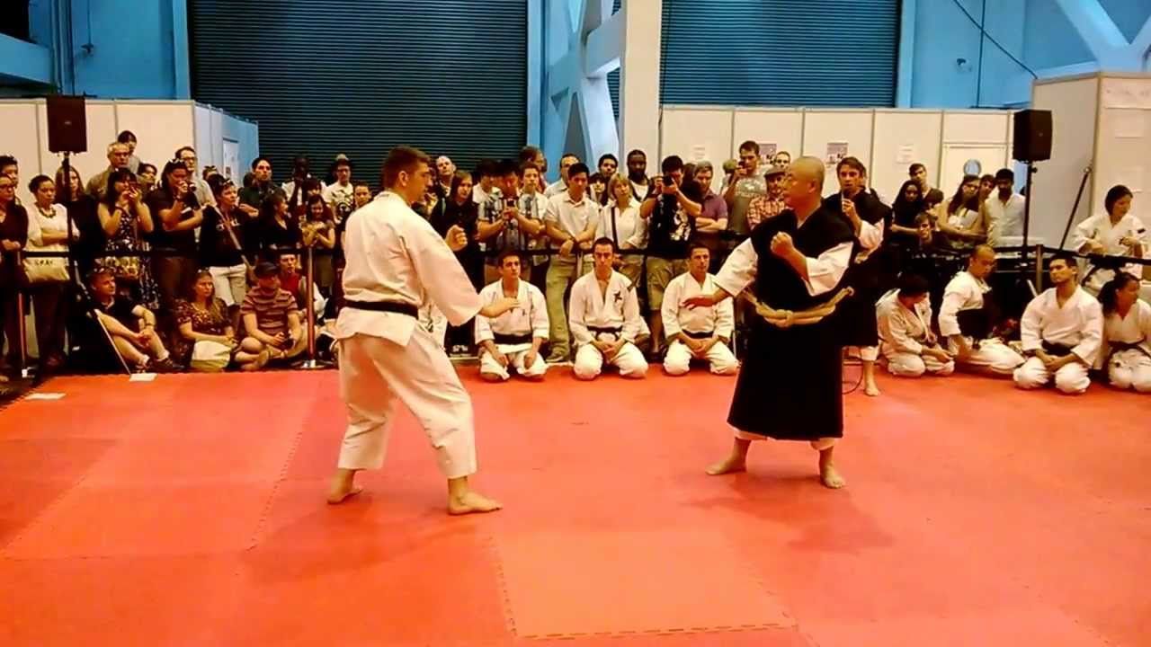 Shorinji Kempo- Japanese Martial Arts- Hyper japan 2013 | Martial arts