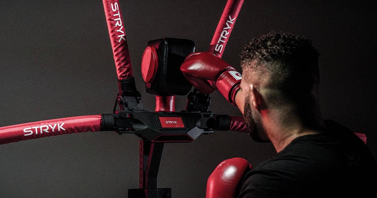 Punching robot designed for mixed martial arts training