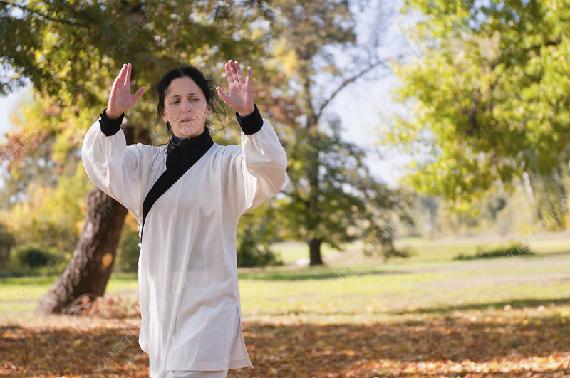 Martial arts practice - Stock Image - F024/6875 - Science Photo Library