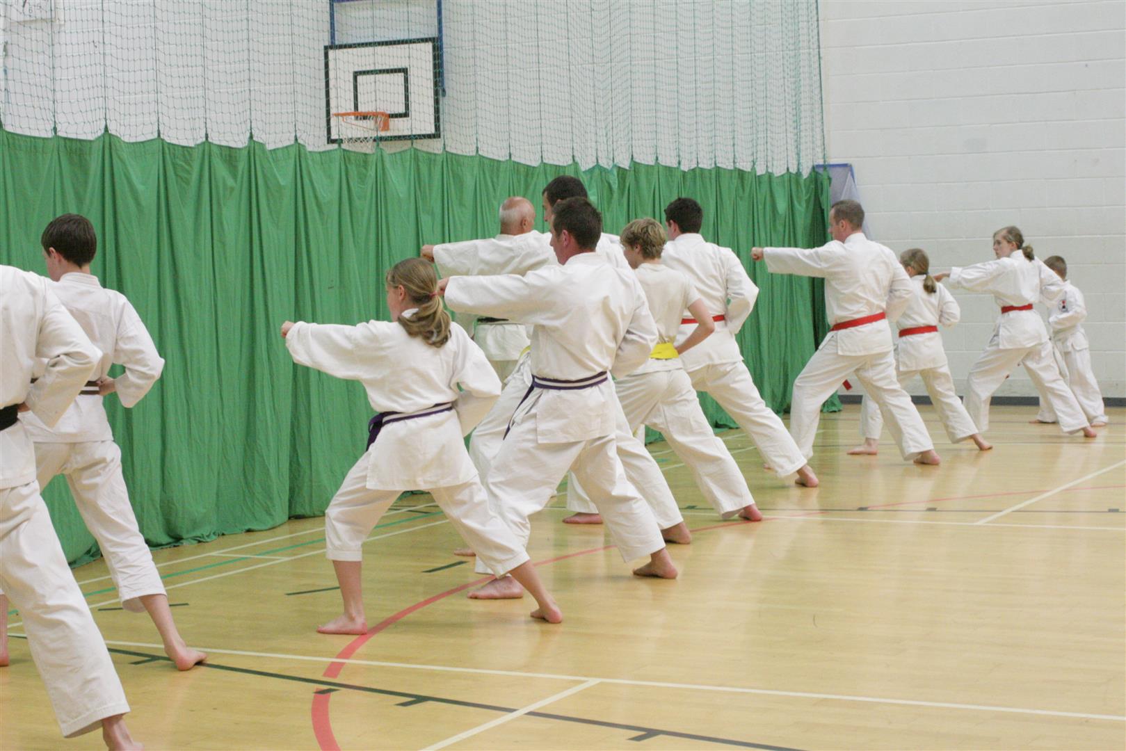 Training Images – Dartmouth Karate Club