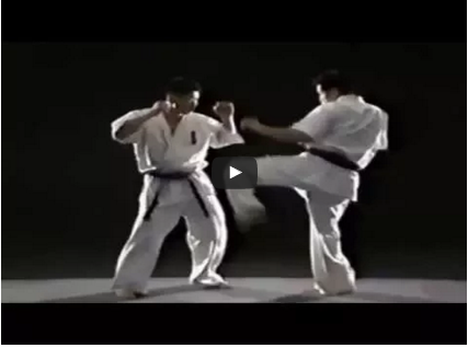 Kumite Instruction | The Martial Way