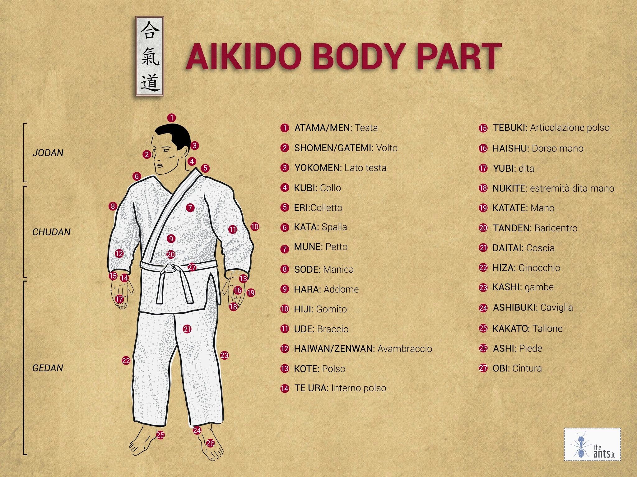 Pin on Aikido