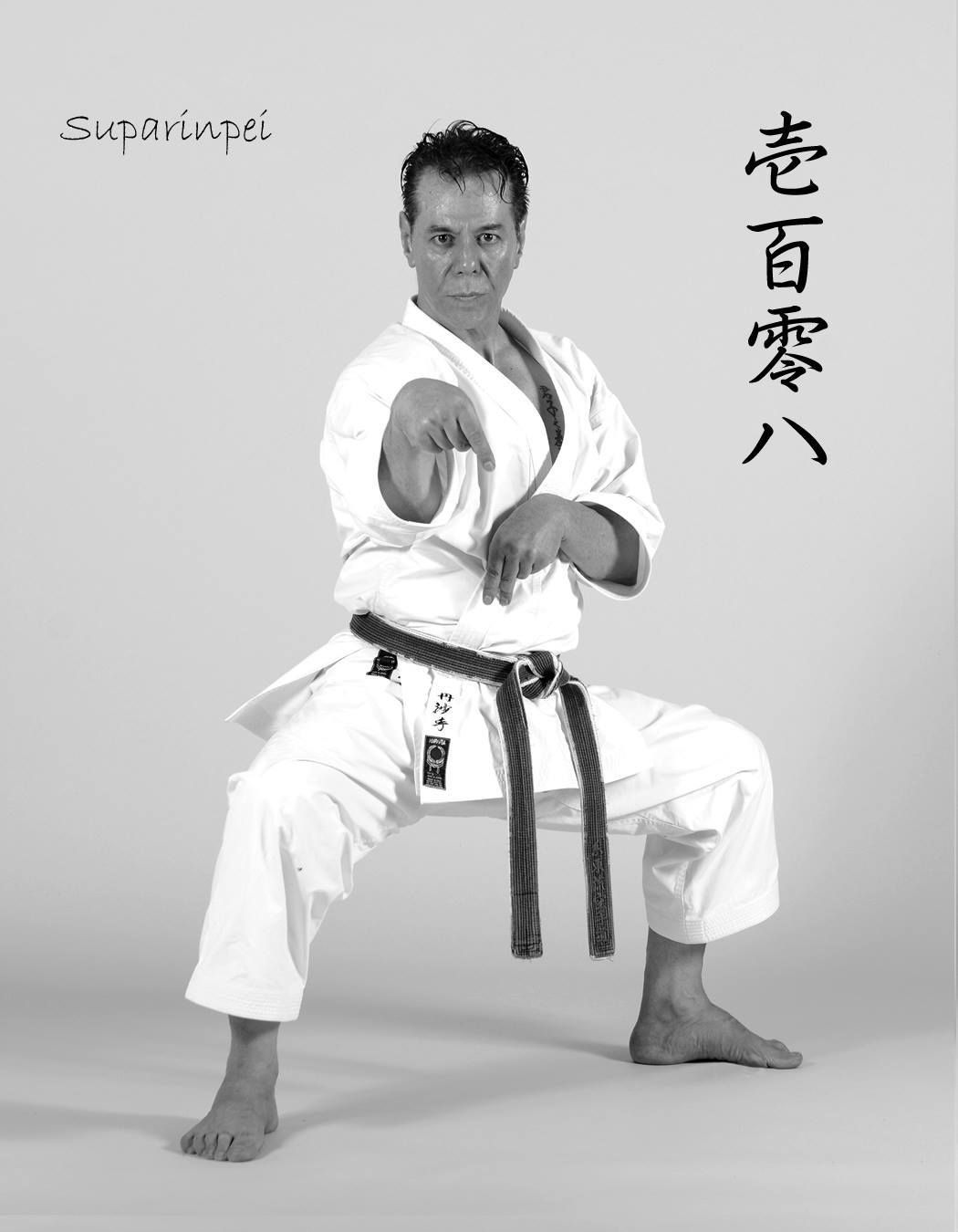 Karate Kata, Shotokan Karate, Shito Ryu Karate, Figure Drawing Practice