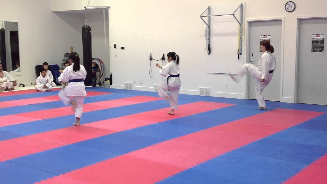 Blue Belts testing for Purple Belt, IKD Shotokan Karate in Winnipeg