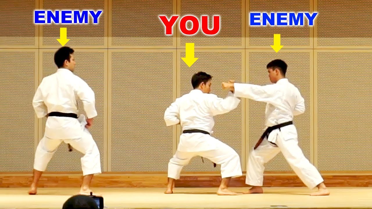 BUNKAI of Shorin-ryu SEIBUKAN | Learn what KATA means | The 1st Karate