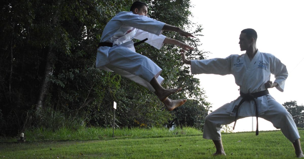 Is Goju-Ryu Karate Any Good? The Answer May Surprise You