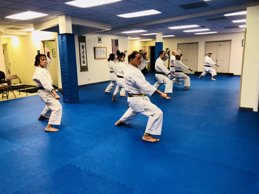 Karate training at Traditional Karate Club of Wilmette