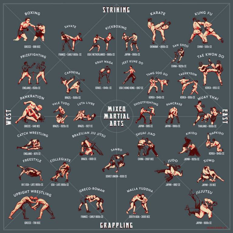 Chicagoan Creates Illustrated Guide to Martial Arts Styles | Chicago's MMA