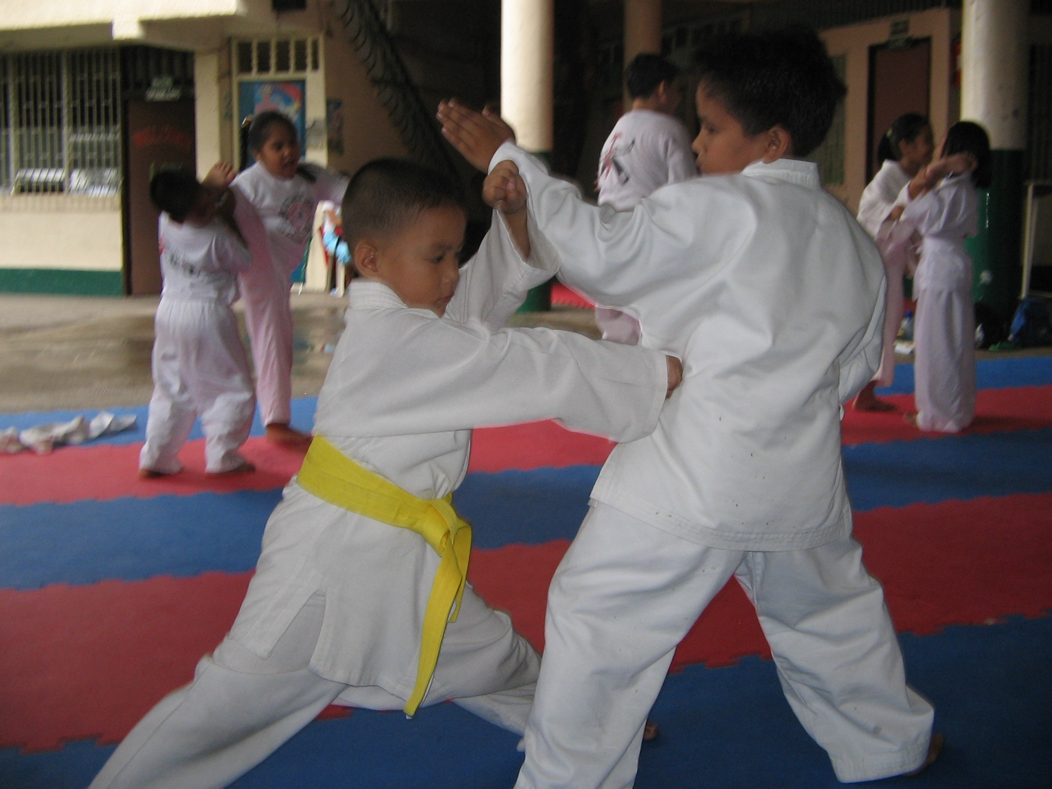 JJS Karate Kids on Training