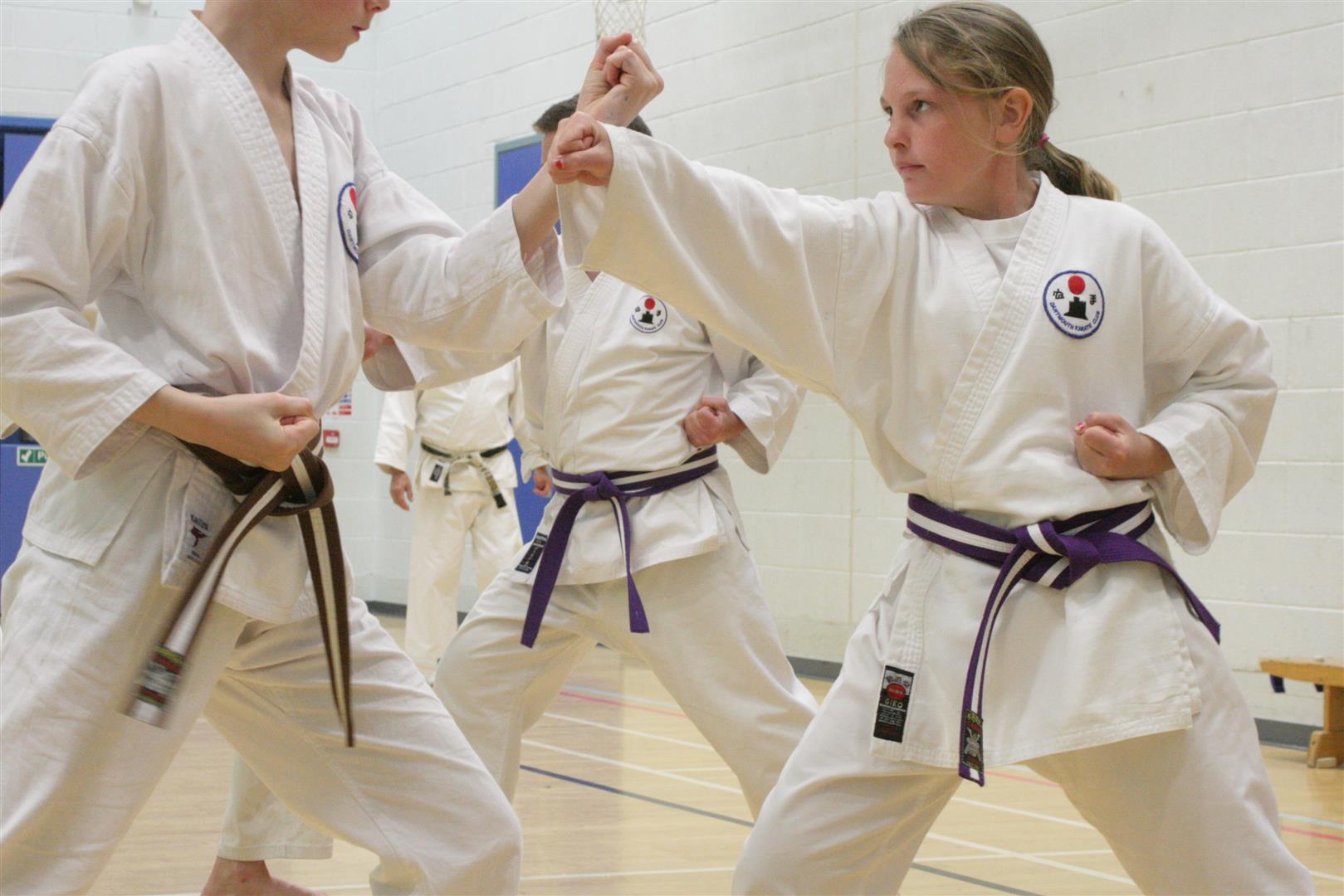 Karate Training Pics – May 2013 (22) – Dartmouth Karate Club