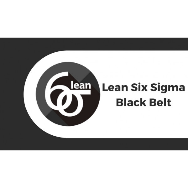 Lean six sigma black belt