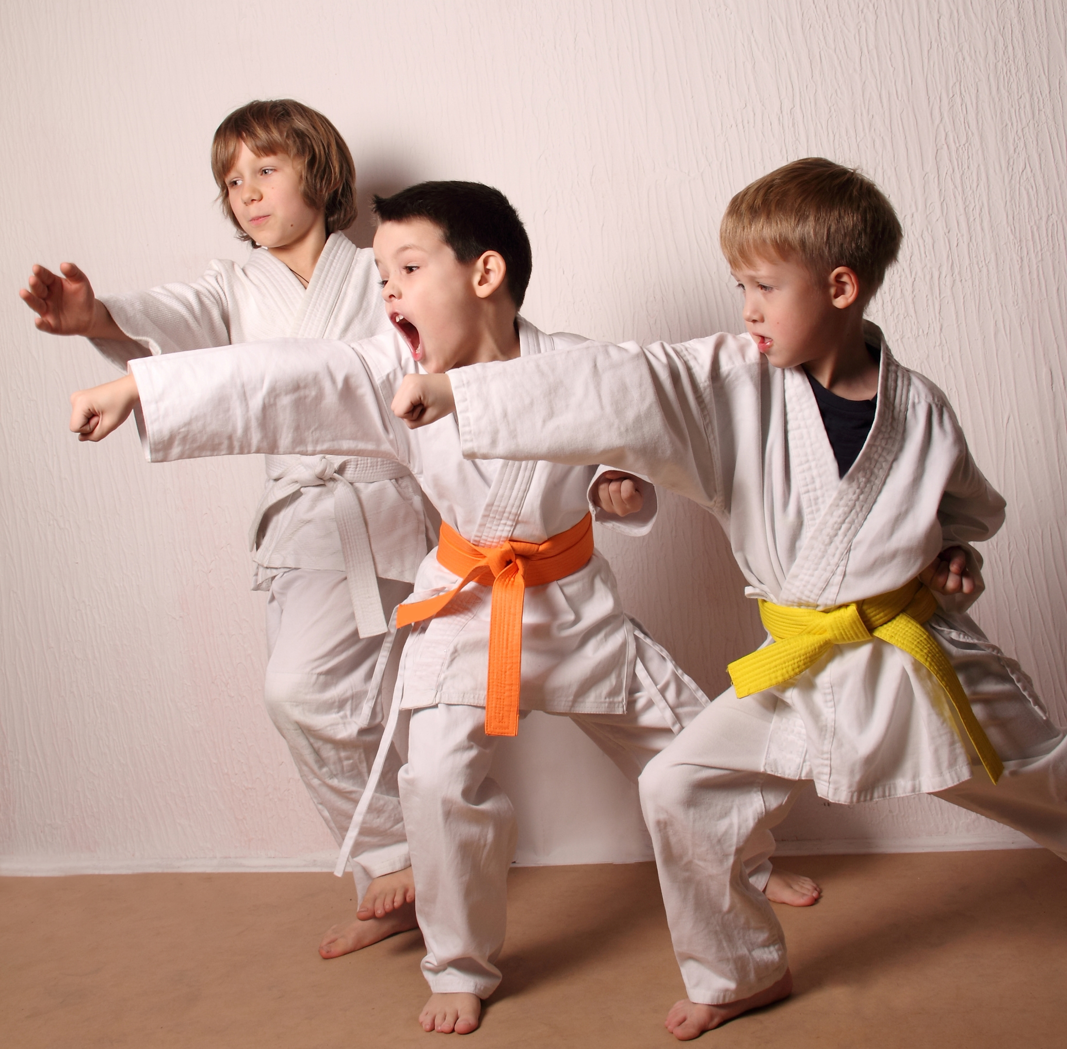 Kids during karate training. Martial arts.Sport, active lifestyle concept - BKJ Martial Arts