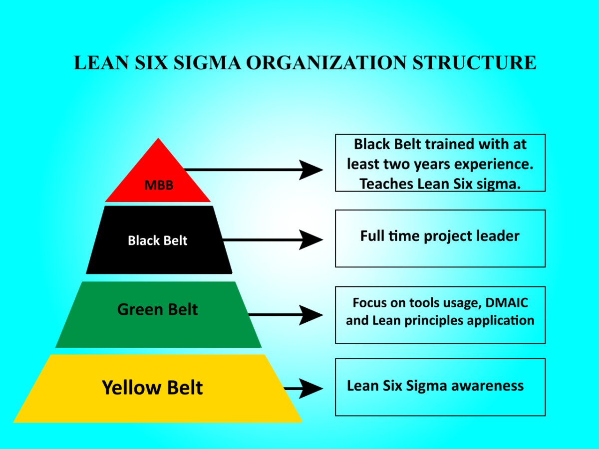 Somes notes about Six Sigma White Belt Training