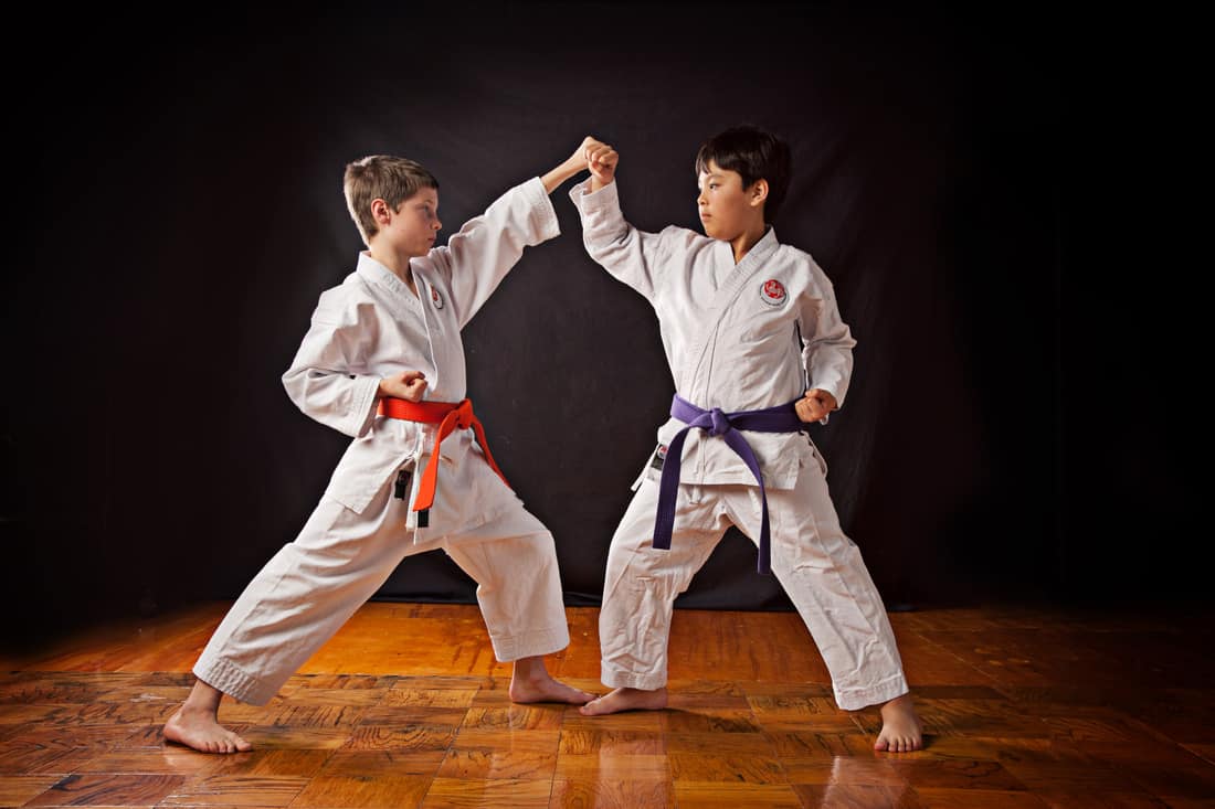 Karate Classes Whidbey Island - Click here to view!