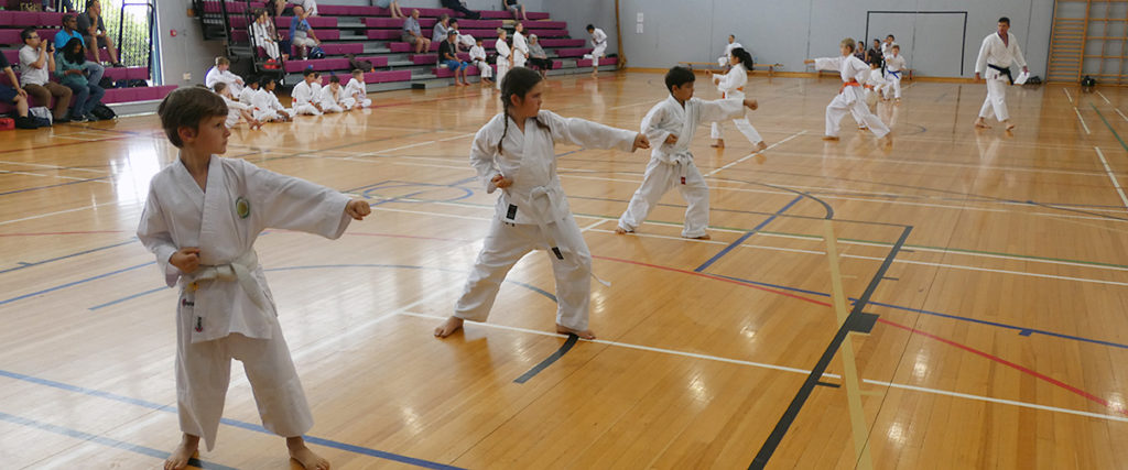 Membership, Training & Qualification Fees - JKS Karate North Shore