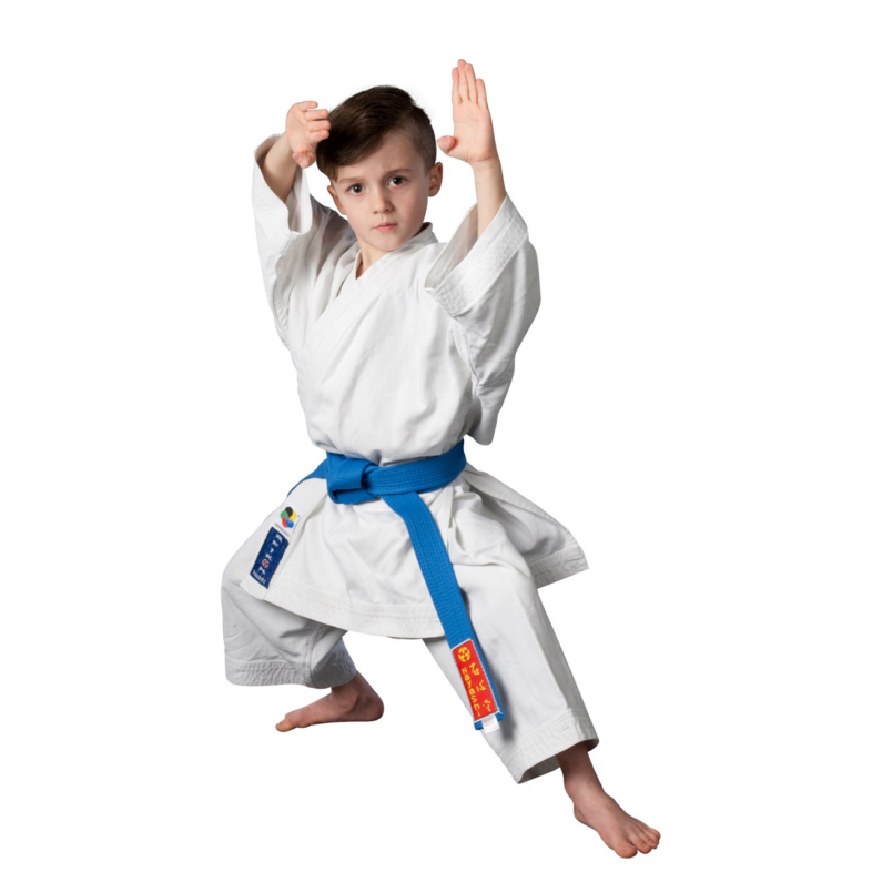kata karate kid Karate kid kata sequence
