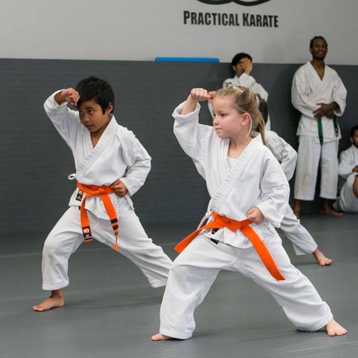 Kids Karate Classes - Practical Karate