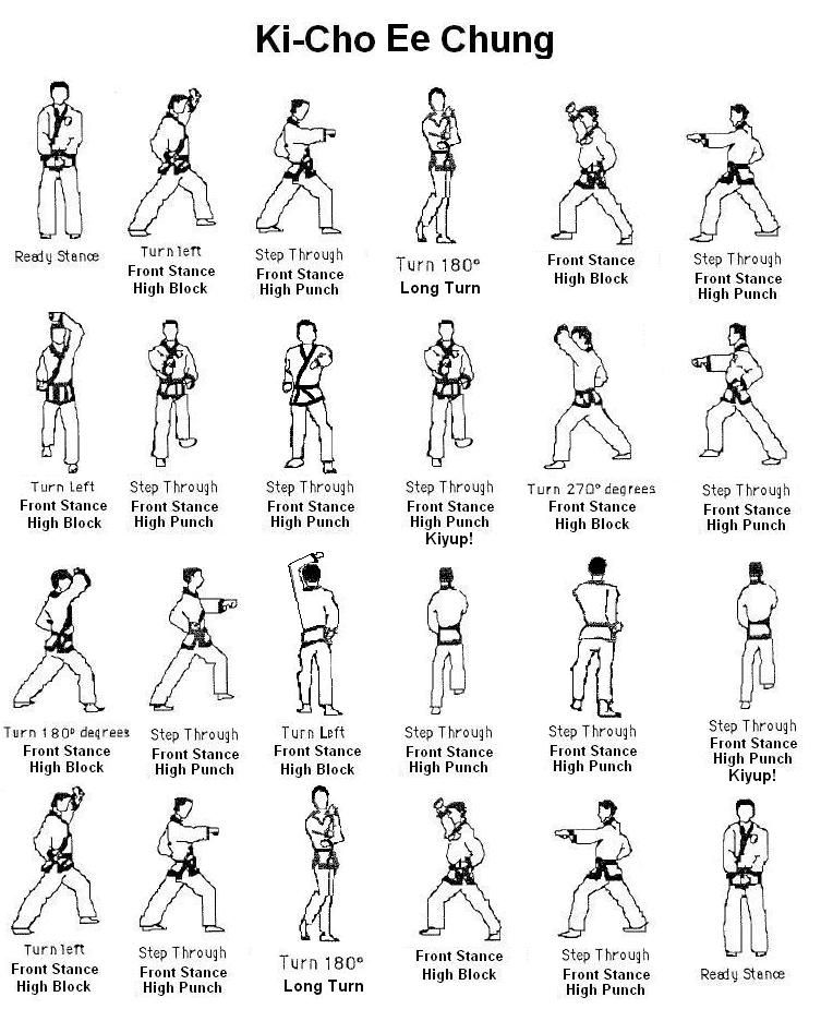 Karate Combo Moves - Move to Self-Defense