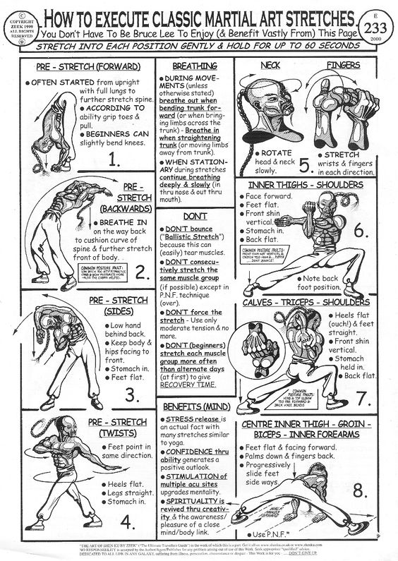Training Exercises: Karate Training Exercises Pdf