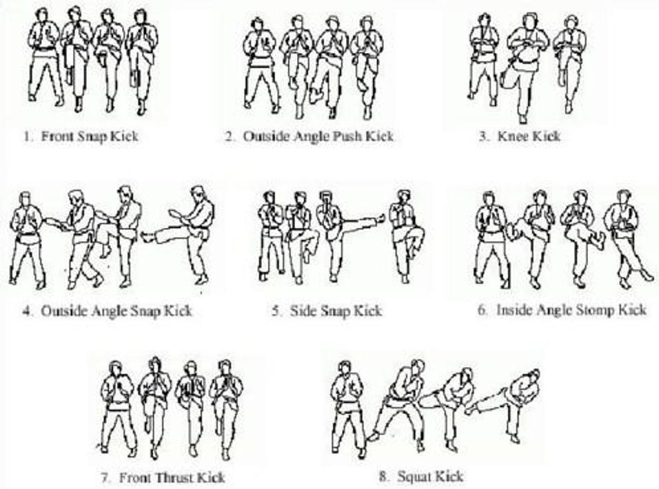 Basic Karate Movement Techniques APK Download