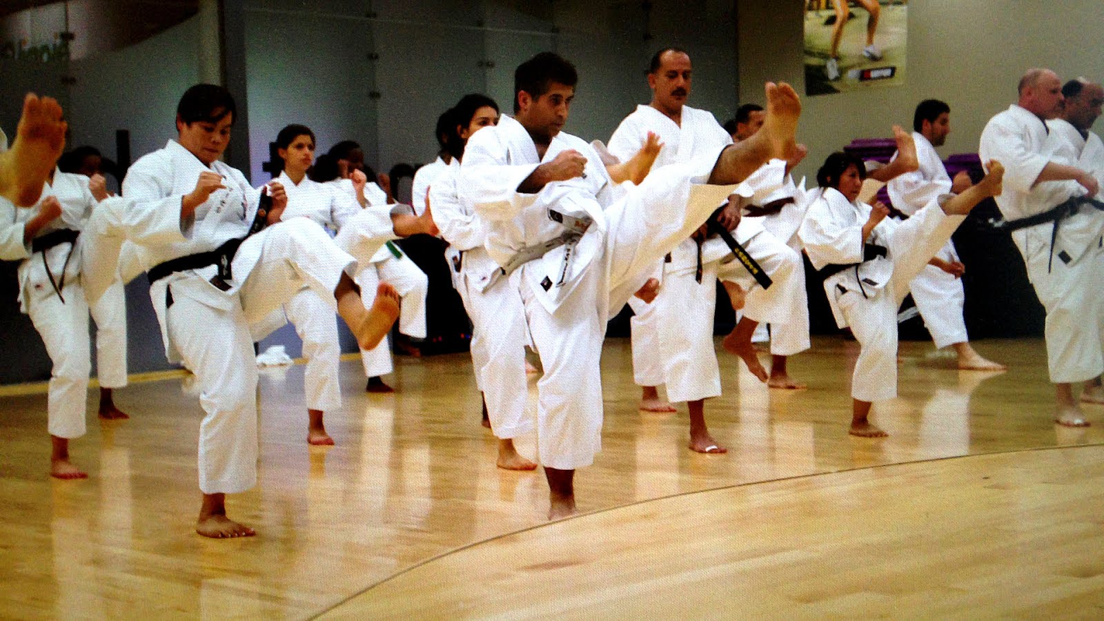 Shotokan Karate Training Videos - Karate Choices