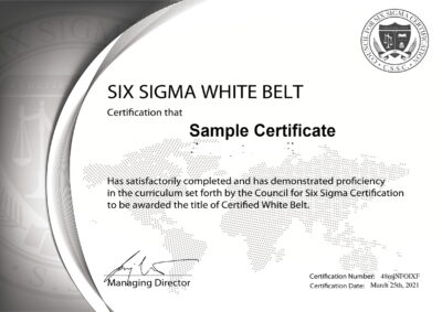 Six Sigma White Belt Certification | Gururo