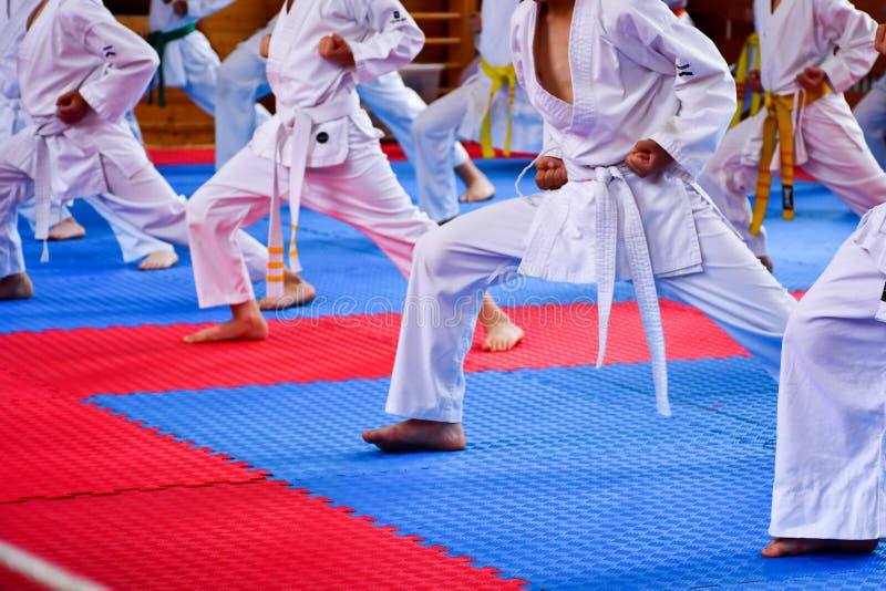 Karate training stock photo. Image of jiujitsu, jujitsu - 117110854