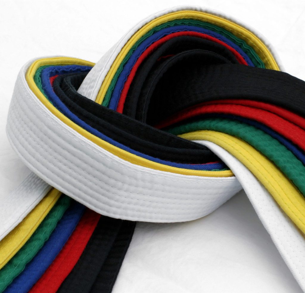 Martial Arts Belts Meaning and What each colour represents