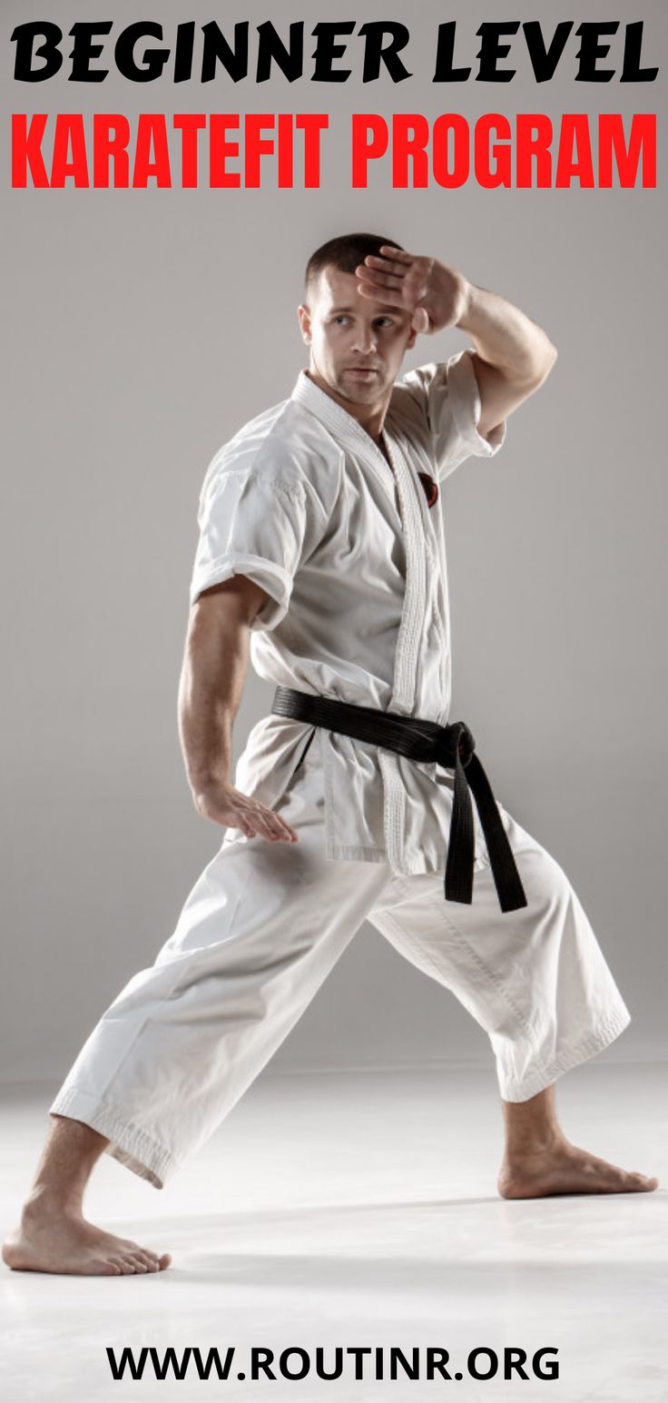 BEGINNER LEVEL KARATEFIT PROGRAM | Kids martial arts training, Martial