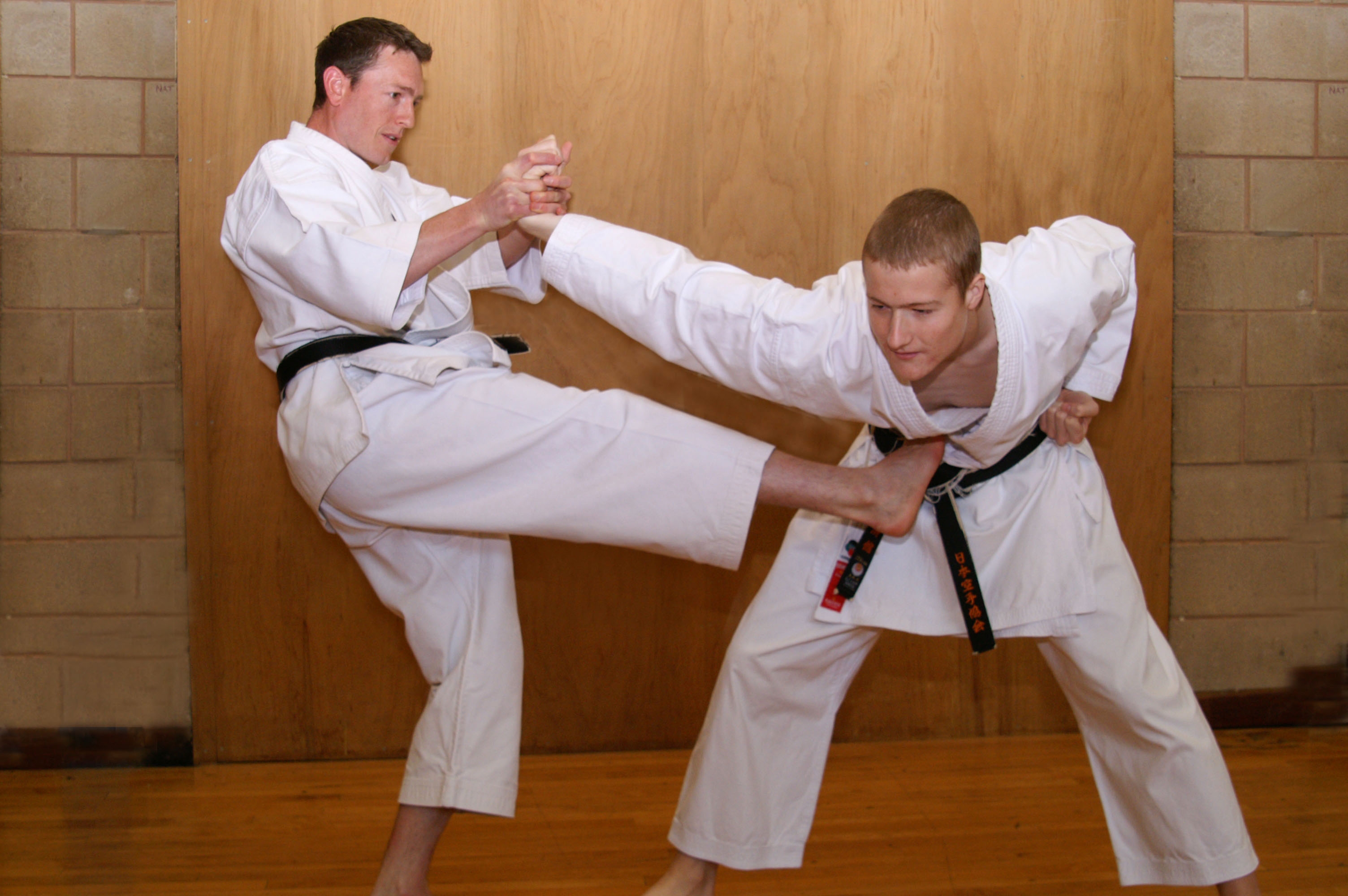 Top 10 Martial Arts Disciplines for Self-Defense and Survival