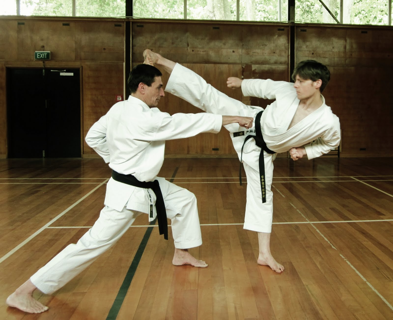 André Bertel's Karate-Do: Christchurch's only Shotokan Karate