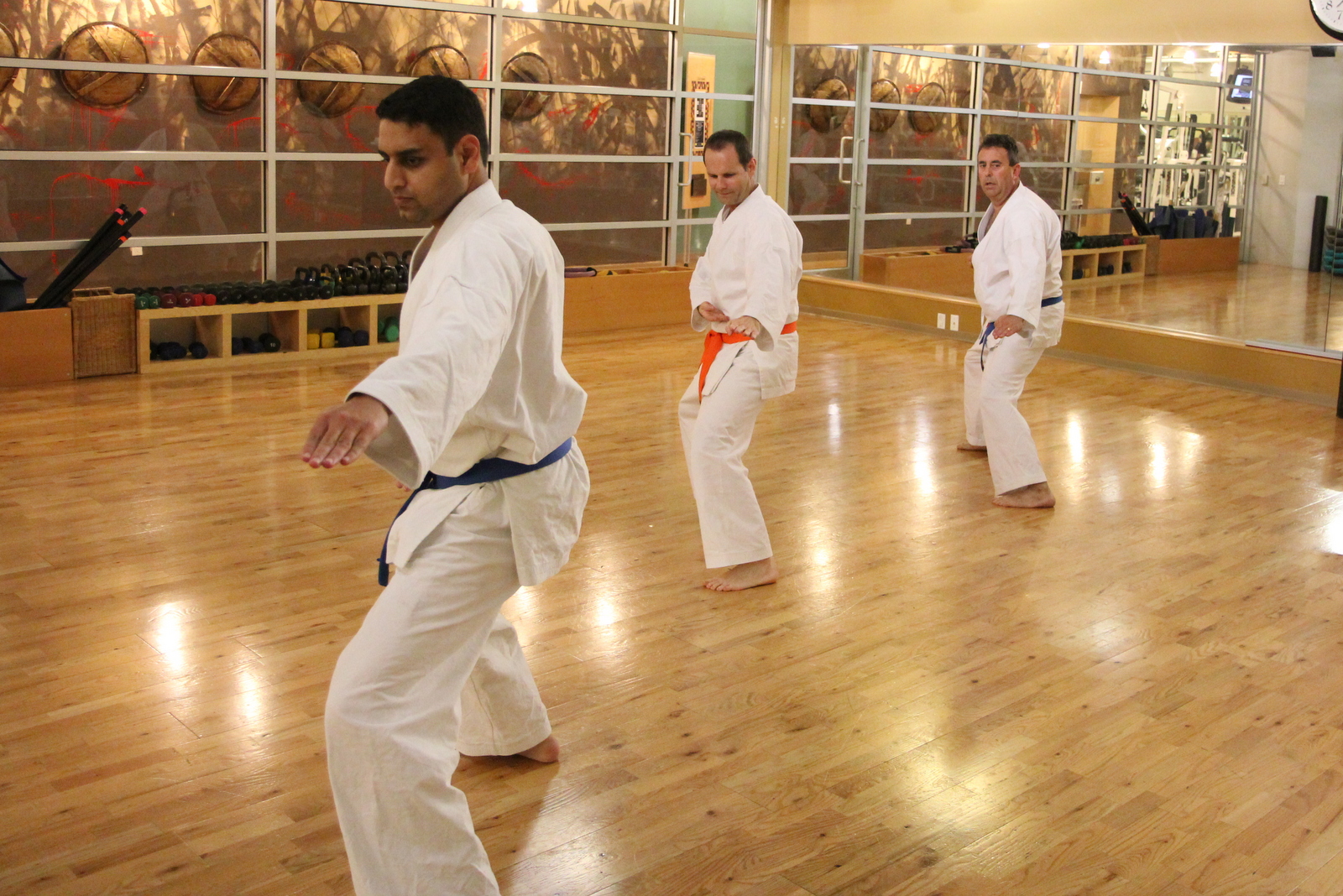 Jiu-jitsu ground fighting / grappling and Karate striking | Full