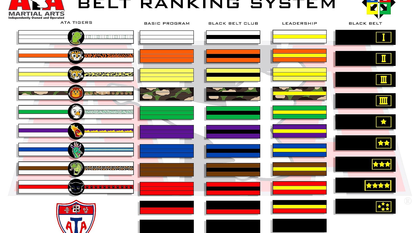 All Karate Belts In Order - Karate Choices