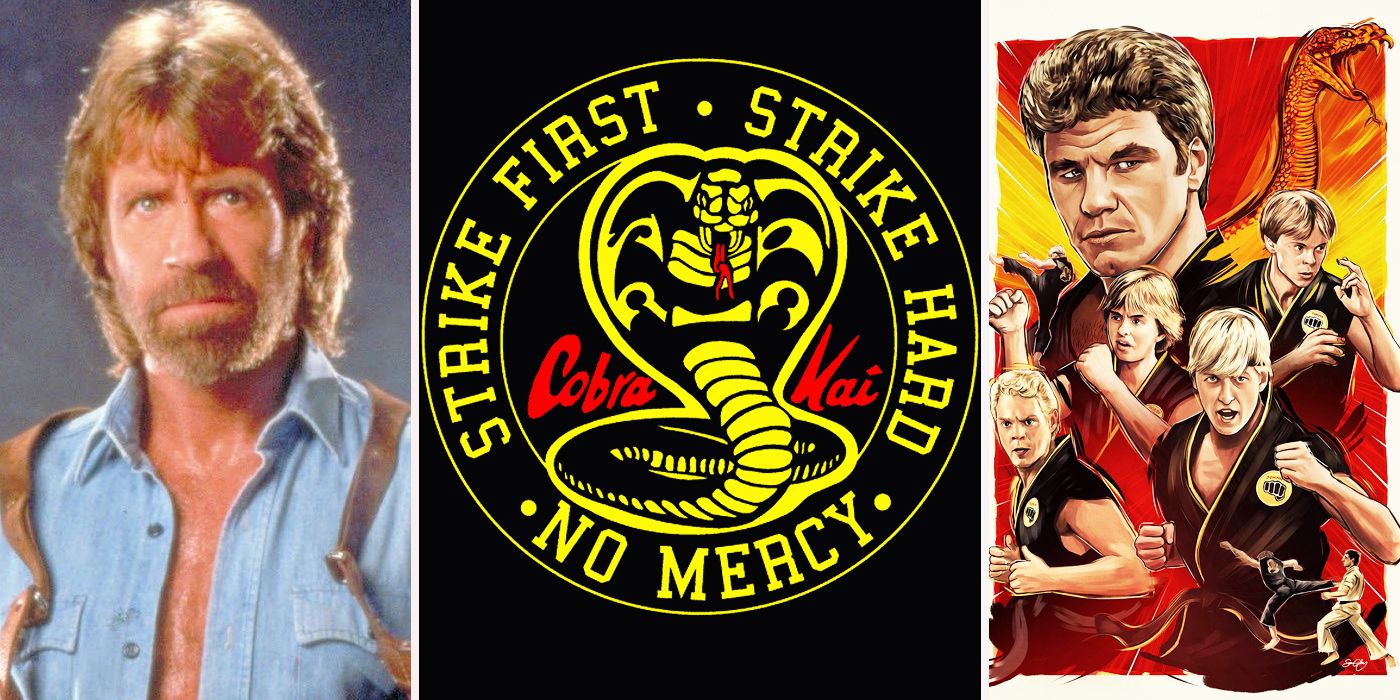 The Karate Kid: 15 Things You Didn't Know About Cobra Kai | CBR