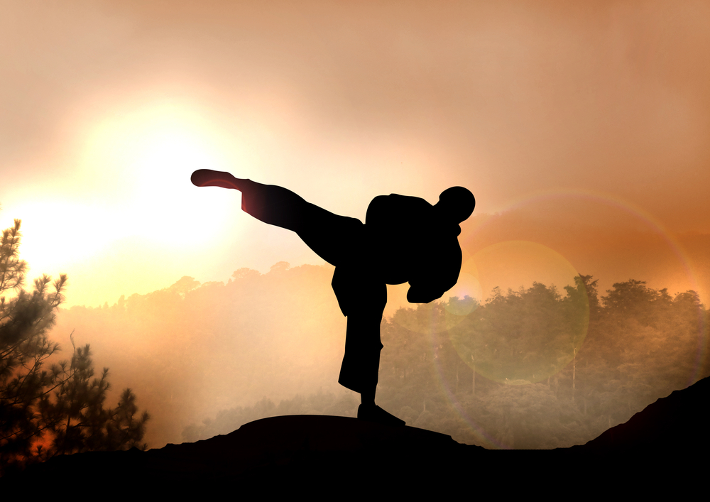 6 Best Martial Arts to Learn at Home