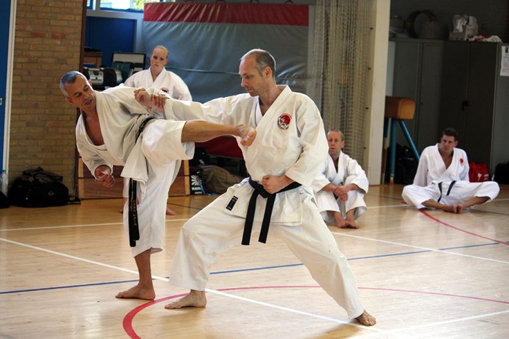 Shotokan kumite | Kumite, Karate styles, Shotokan