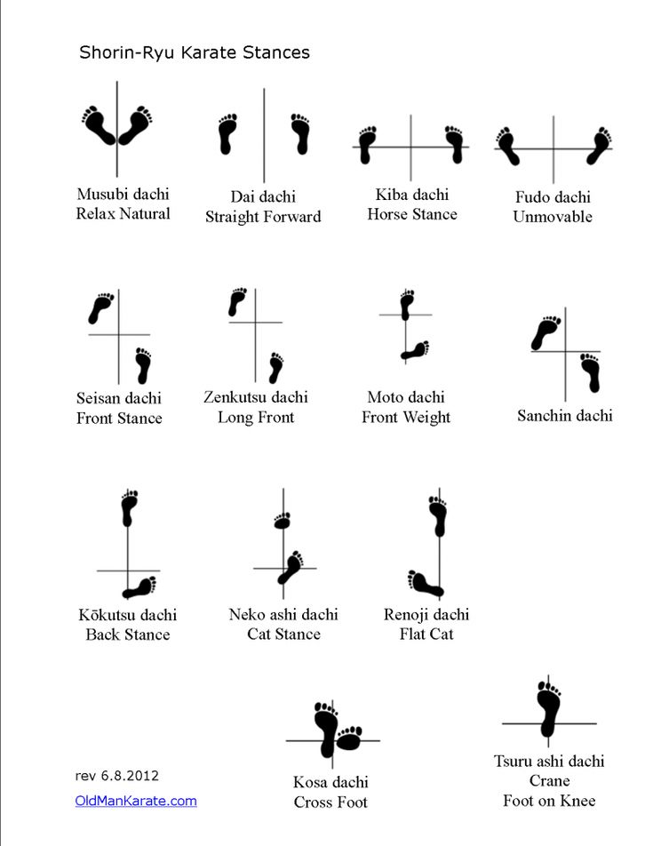 Shorin Ryu Karate Stances | Karate shotokan, Artes marciais, Karate