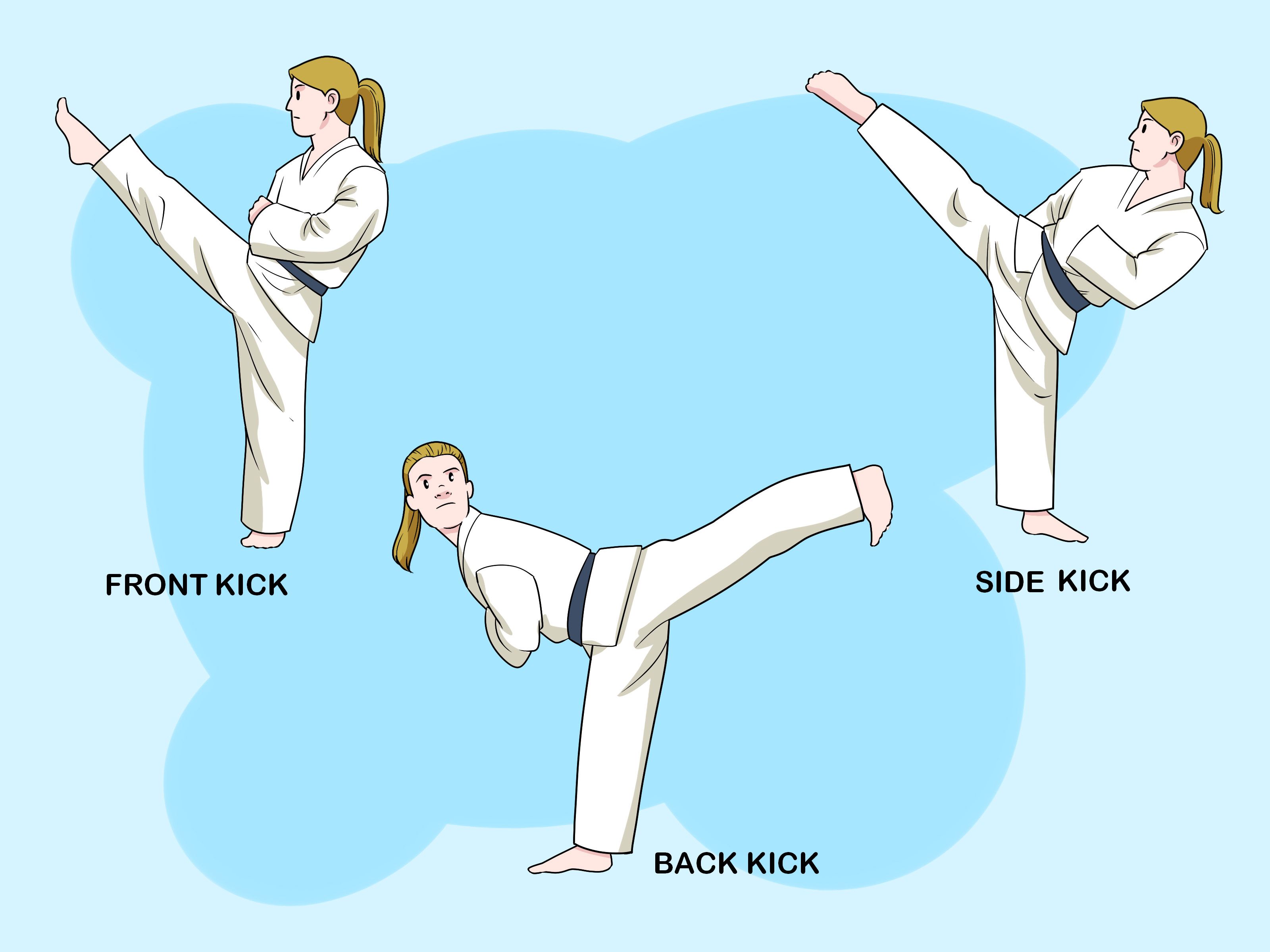 How to Understand Basic Karate: 10 Steps (with Pictures) - wikiHow