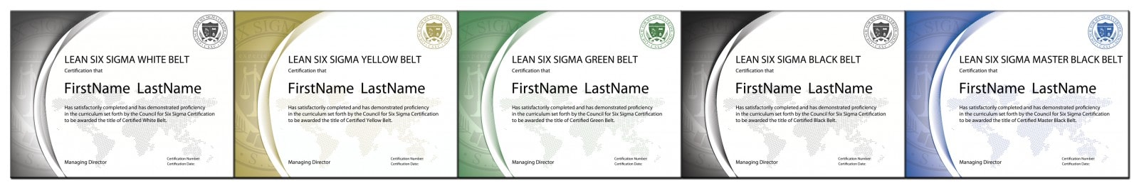 The Council for Six Sigma Certification - Official Industry Standard