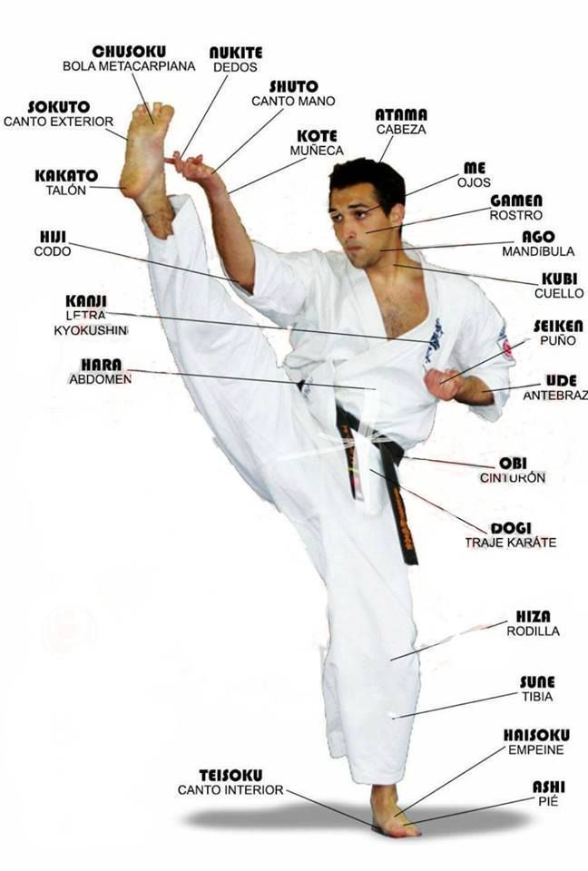 The Art of Karate