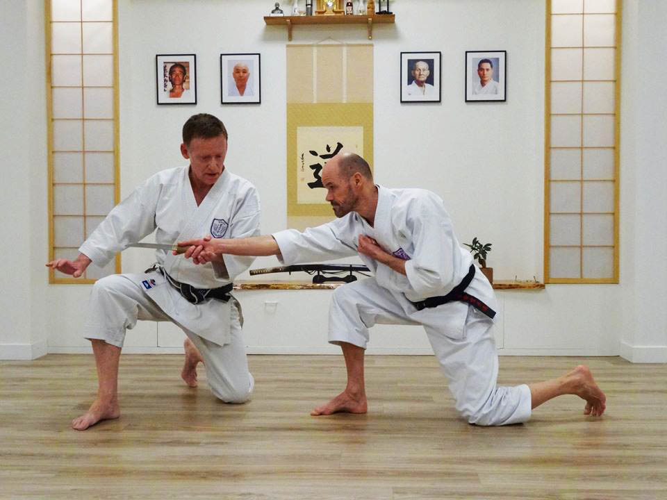 The Politics of Paired Kata Part 2. « Shikukai Wado Ryu Karate in Essex.