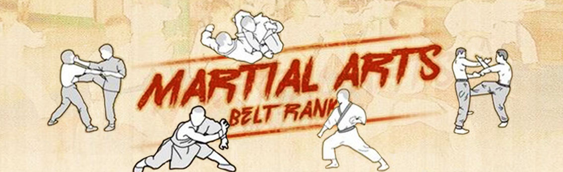 Martial Arts Belts in Order [Infographic]