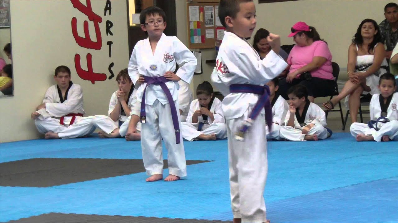 Taekwondo Purple Belt Poomsae - YouTube
