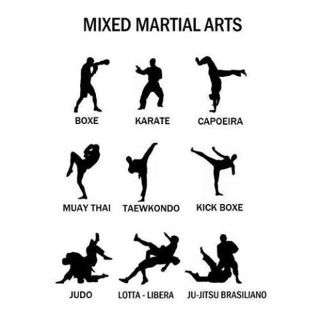 Learn About the Top 3 Martial Arts Styles in India