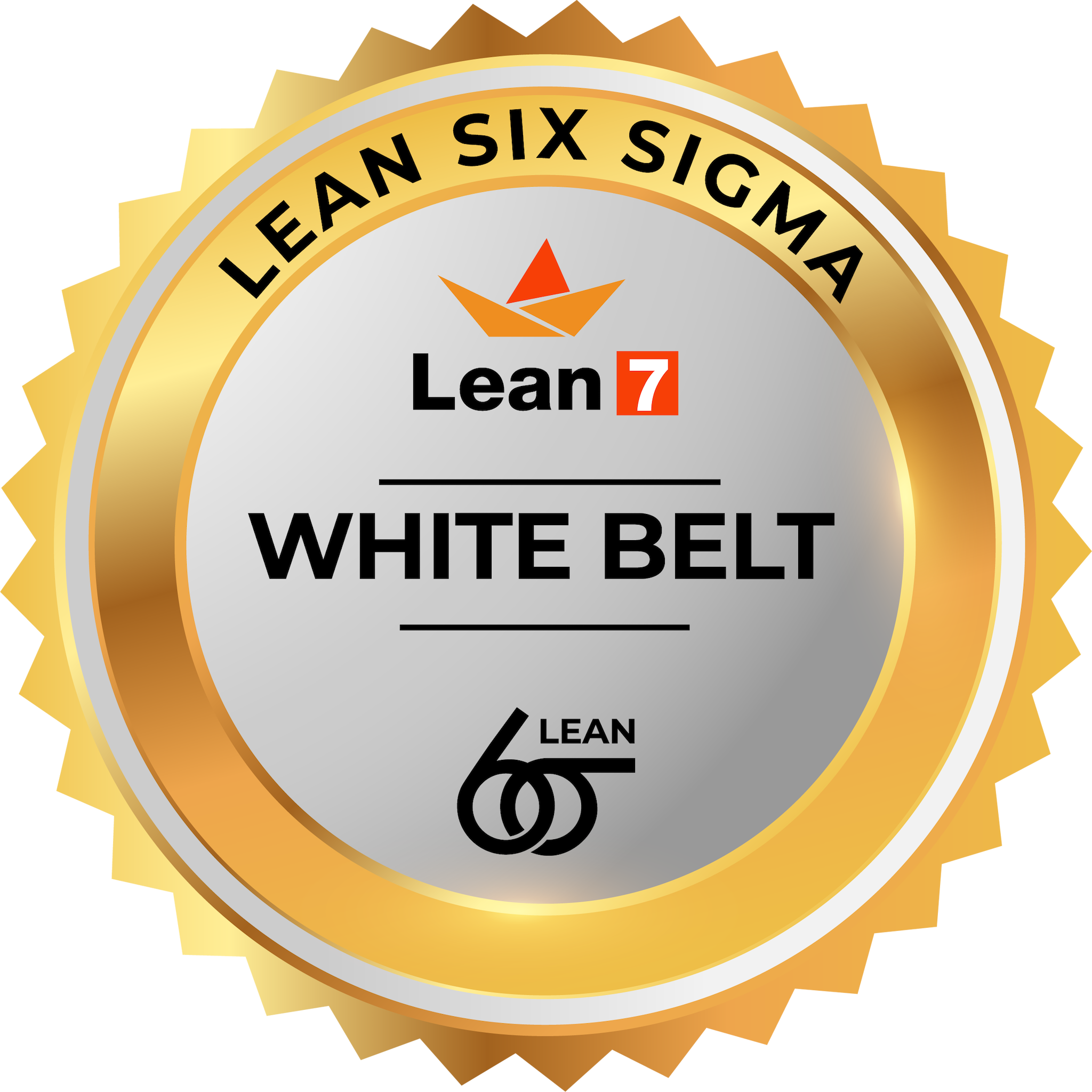 Lean Six Sigma White Belt - Credly