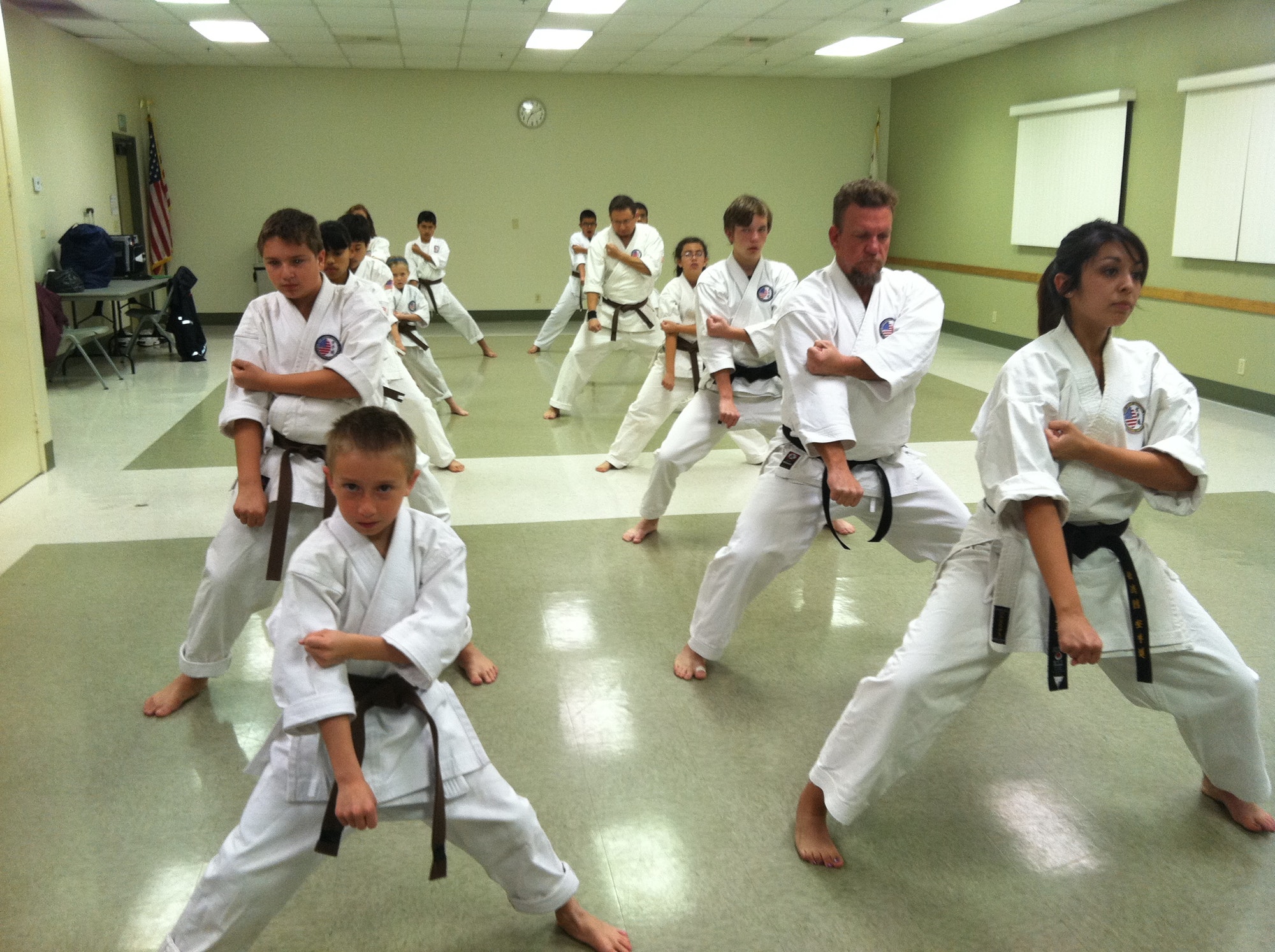 Health Benefits from Training Martial Arts