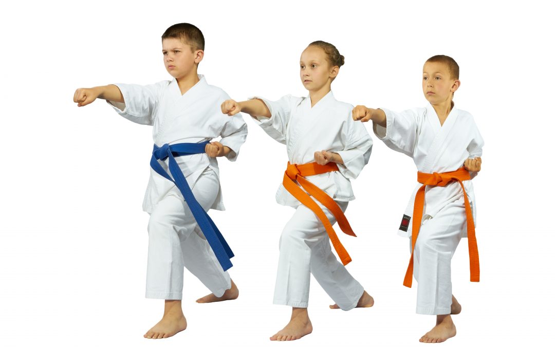 Karate Classes Start October 31 - Tri-Cities Family YMCA