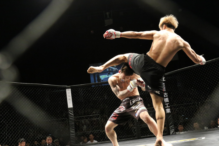 The Benefits Of Mixed Martial Arts Training - Easyworknet