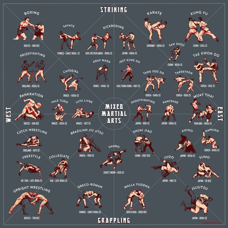 Mixed Martial Arts: A Style Guide (dark color) | Martial arts sparring